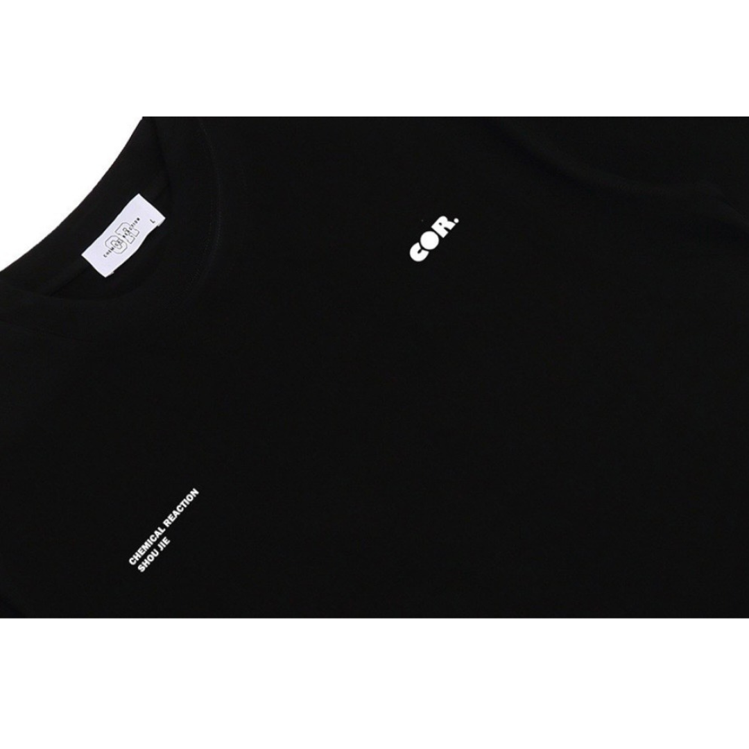 2ポイント　ロゴ　Tシャツ　N1434