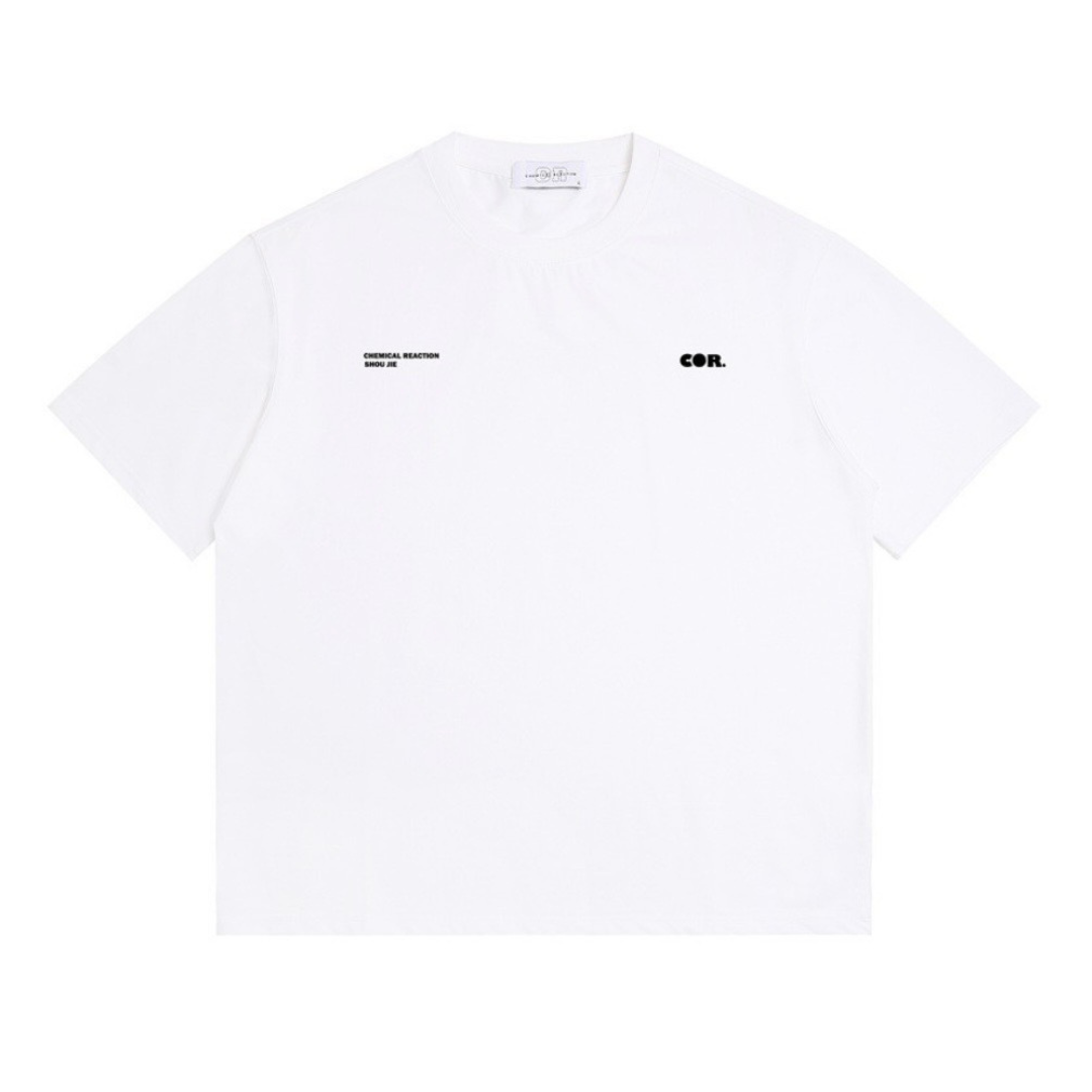 2ポイント　ロゴ　Tシャツ　N1434
