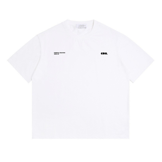 2ポイント　ロゴ　Tシャツ　N1434
