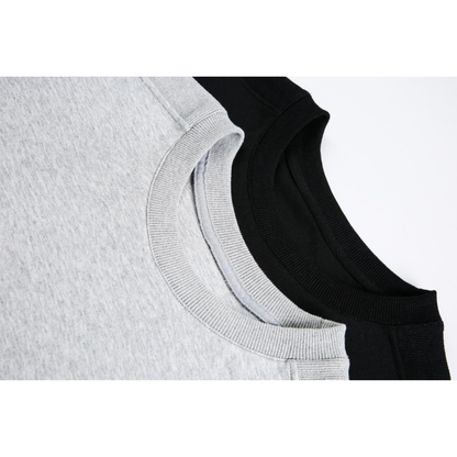 フェイクレイヤード　変形ラグランスリーブ　Tシャツ　N1551