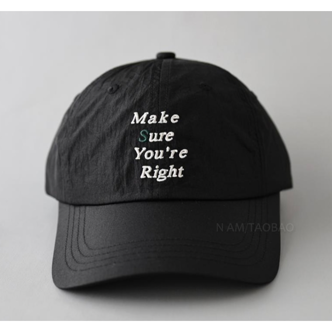 [Make sure you're right] 6 panel cap N476