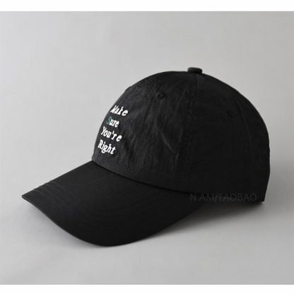 [Make sure you're right] 6 panel cap N476